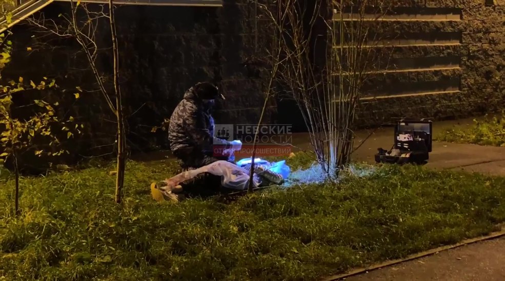 Kris les Foxx Onlifanses