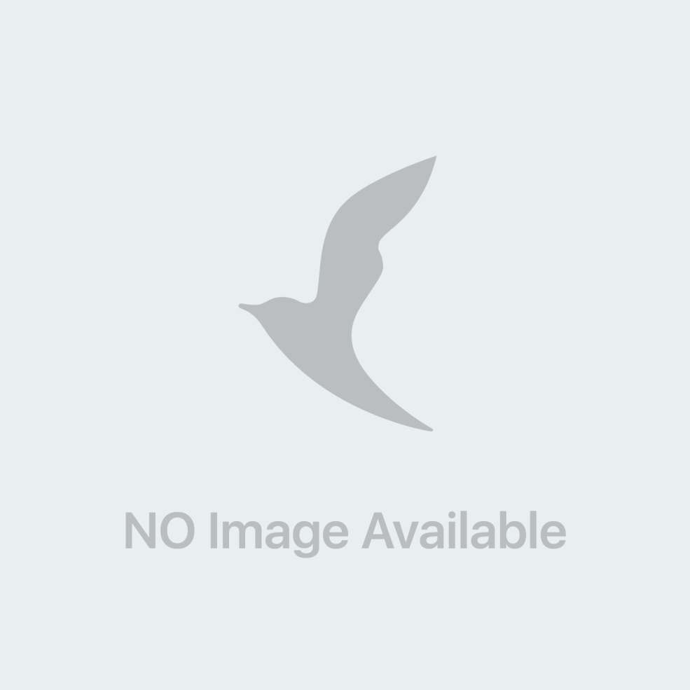 Alice AreFieva Black Widow