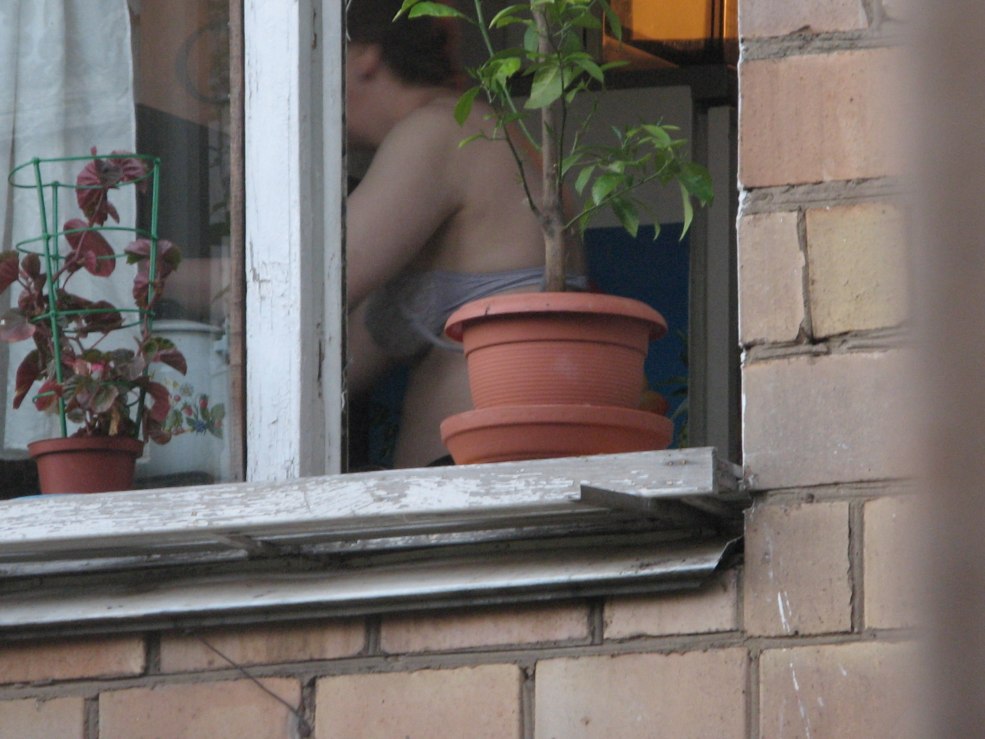 Simbs sur les fenêtres de nu