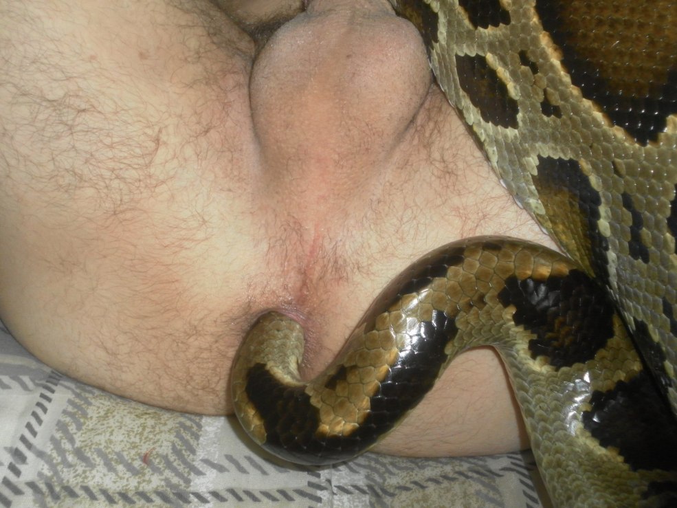 Hentai avec un gros serpent