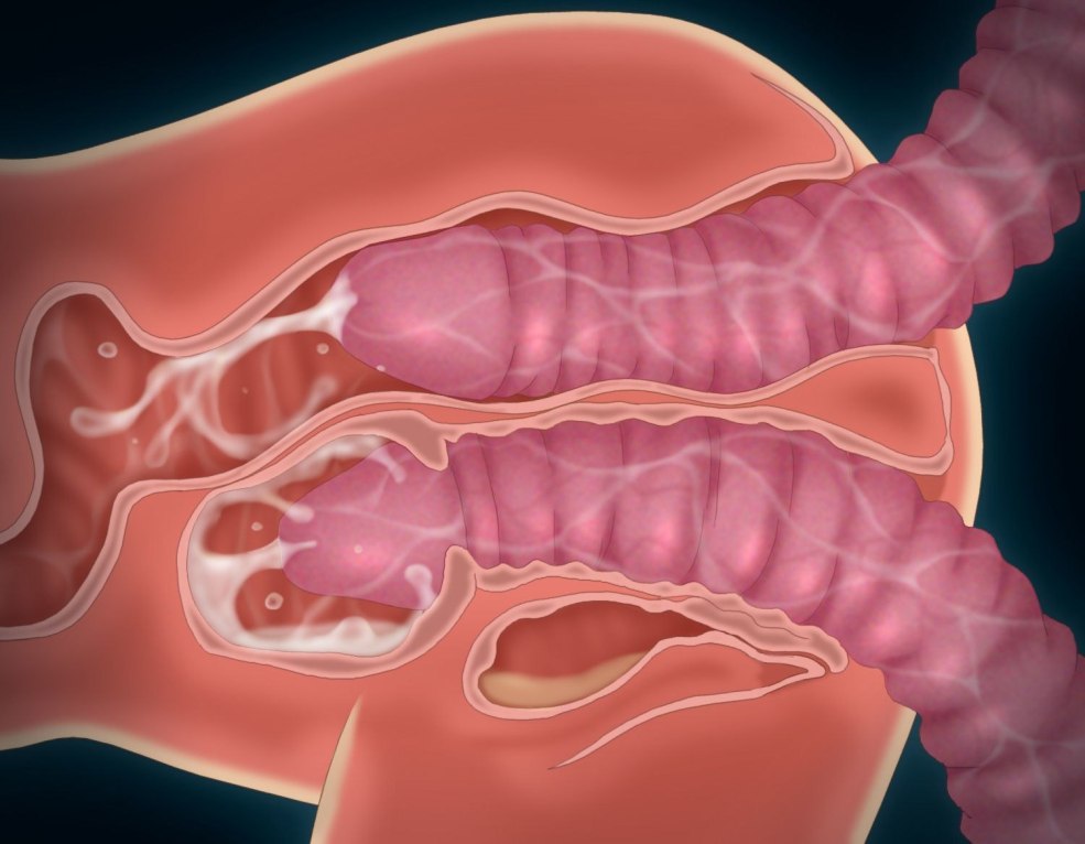 Hentai Homme à l'intérieur du vagin