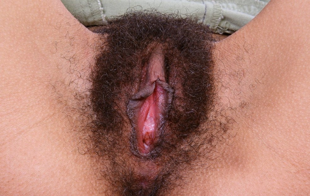 Beaux vagins poilus