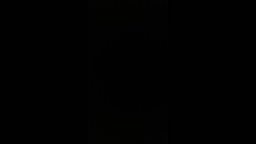 Natalia Cordova-Bakoi Sofia Reib Martinez