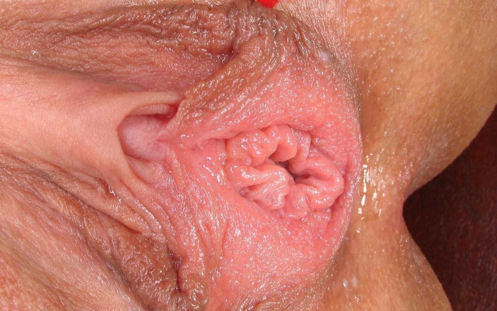 Clitoris des femmes Close -Up