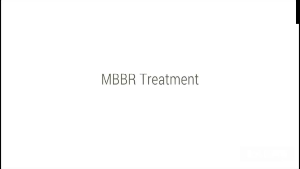 Lera Anisimova Photo