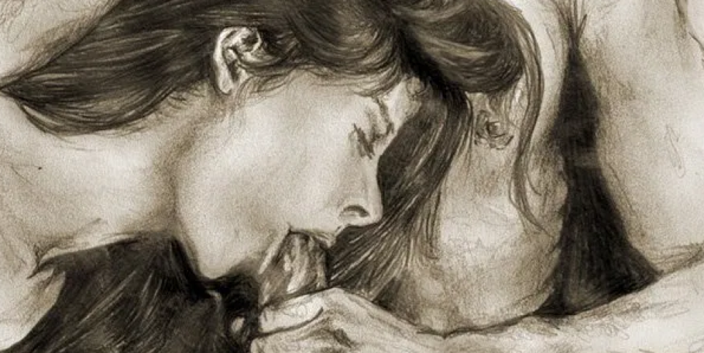 Dessins érotiques d'un membre