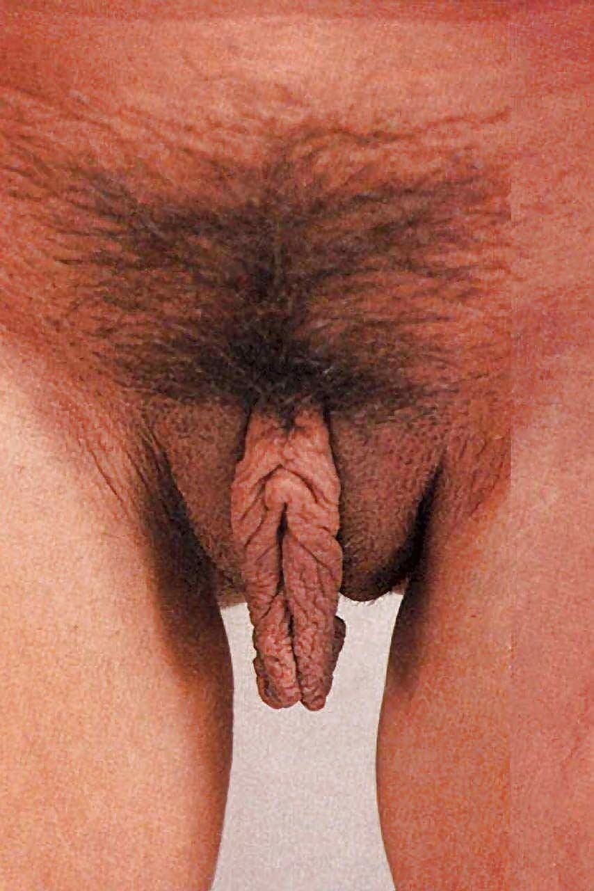 Coupes de cheveux pour hommes des organes génitaux