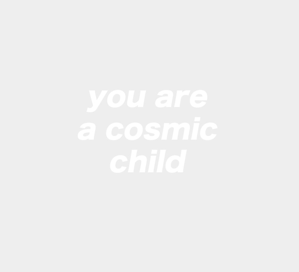 Réfrigérateur Toshiba GR-RT565RS (LS)