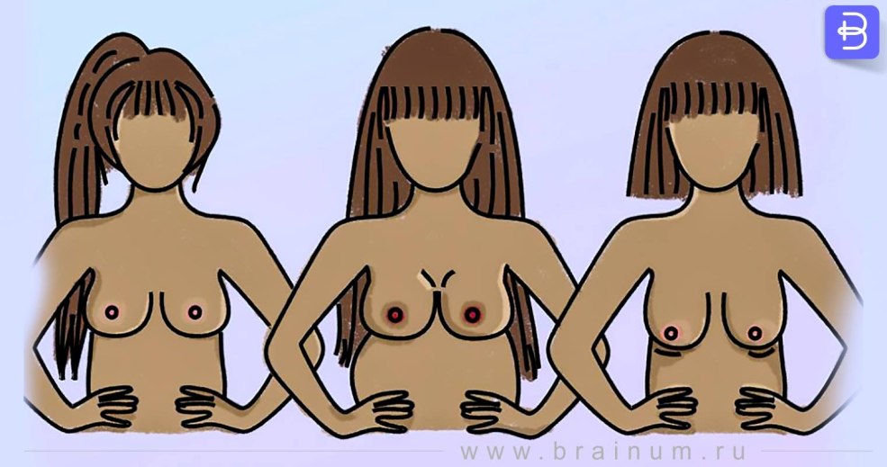 Petits cheveux sur le pubis