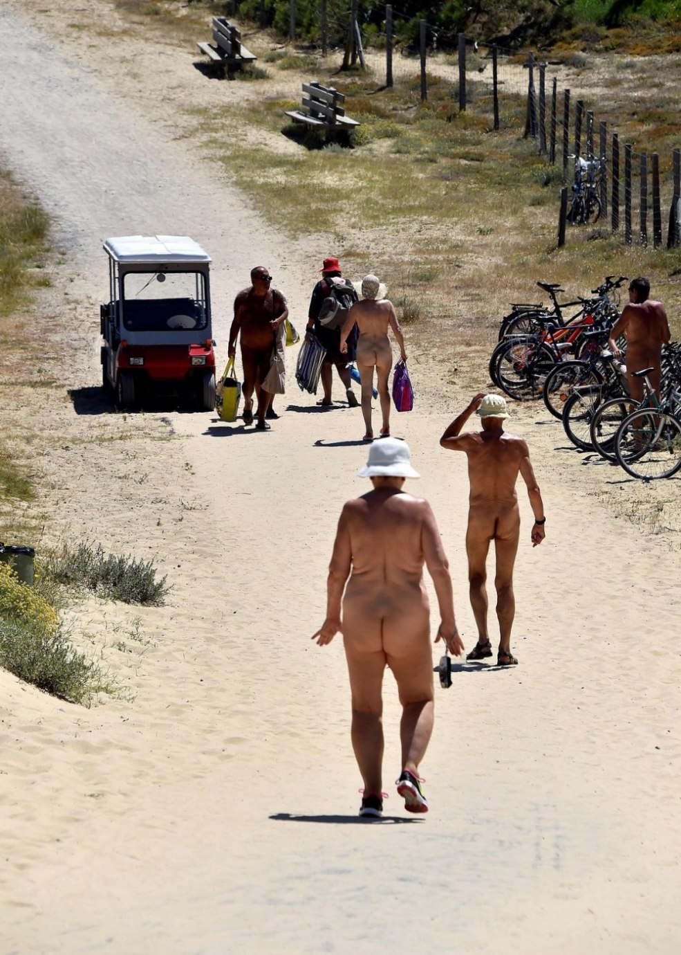 Plages de nudications familiales