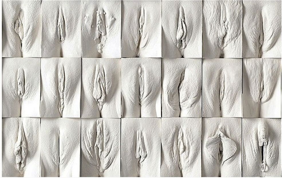 Vagin féminin différent