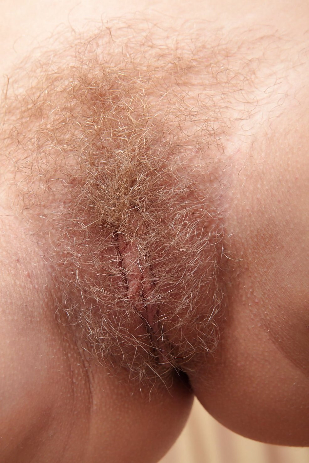 Lobki aux petits cheveux