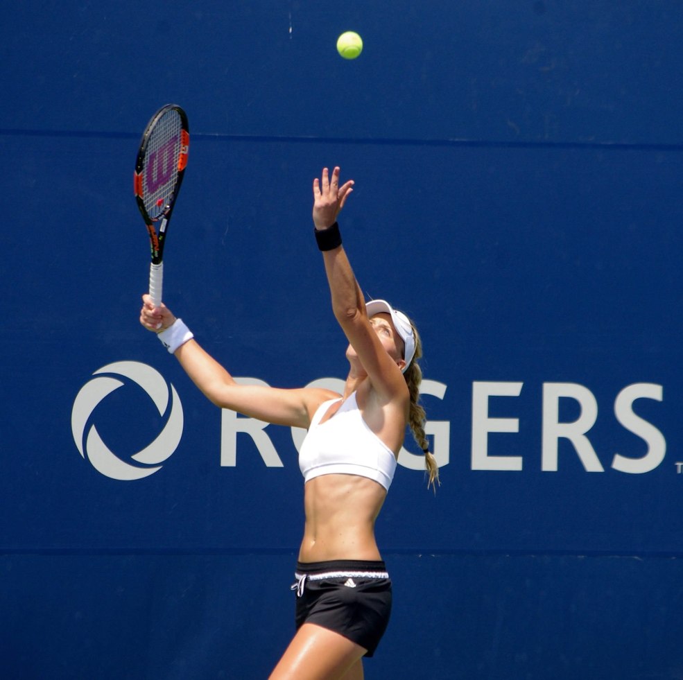 Réfrigérateur Toshiba GR-RT565RS (LS)