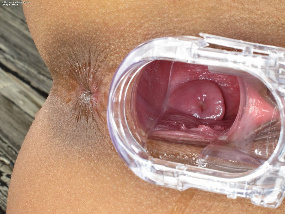 Adriana Chechik Vagin