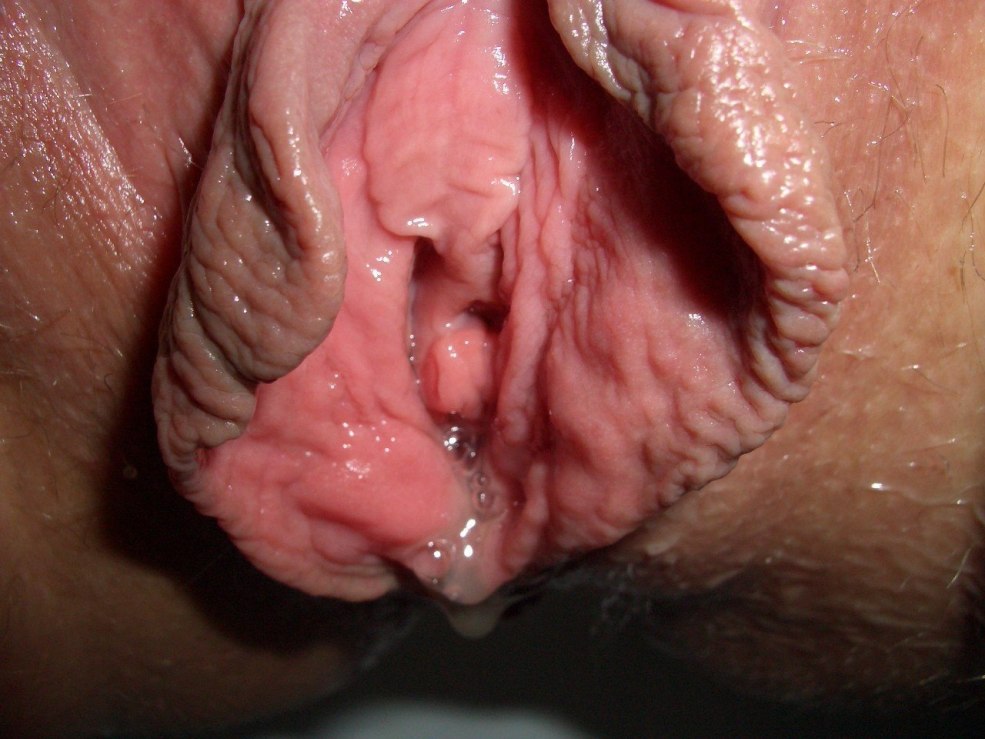 Démonstration du vagin