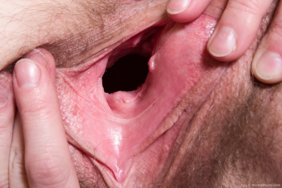 Le vagin d'une femme de l'intérieur