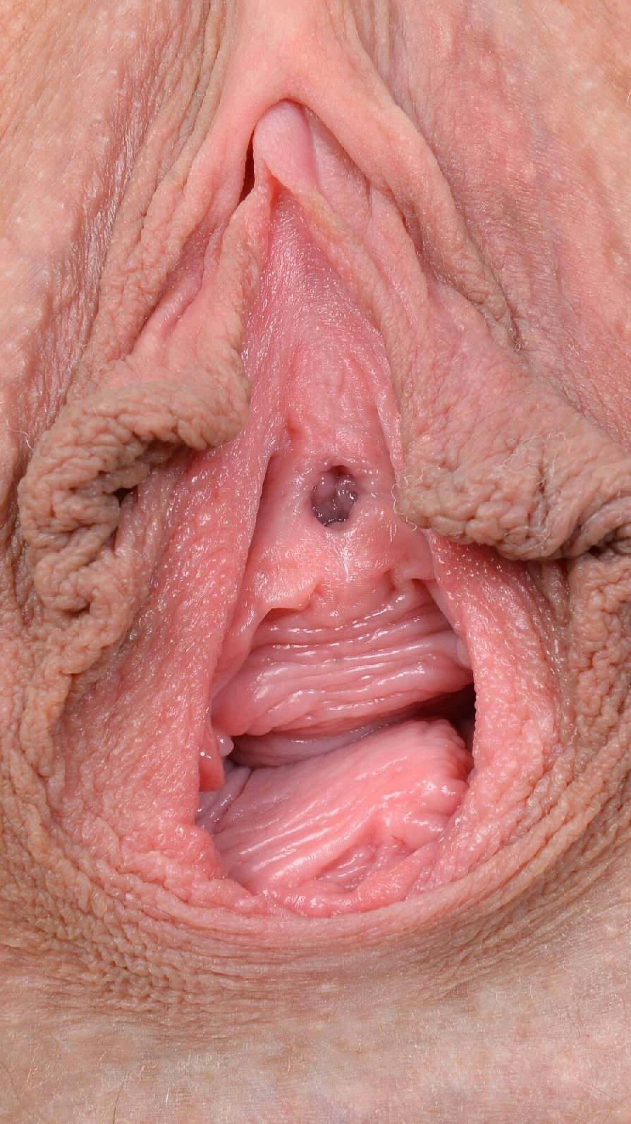 Énorme vagin féminin