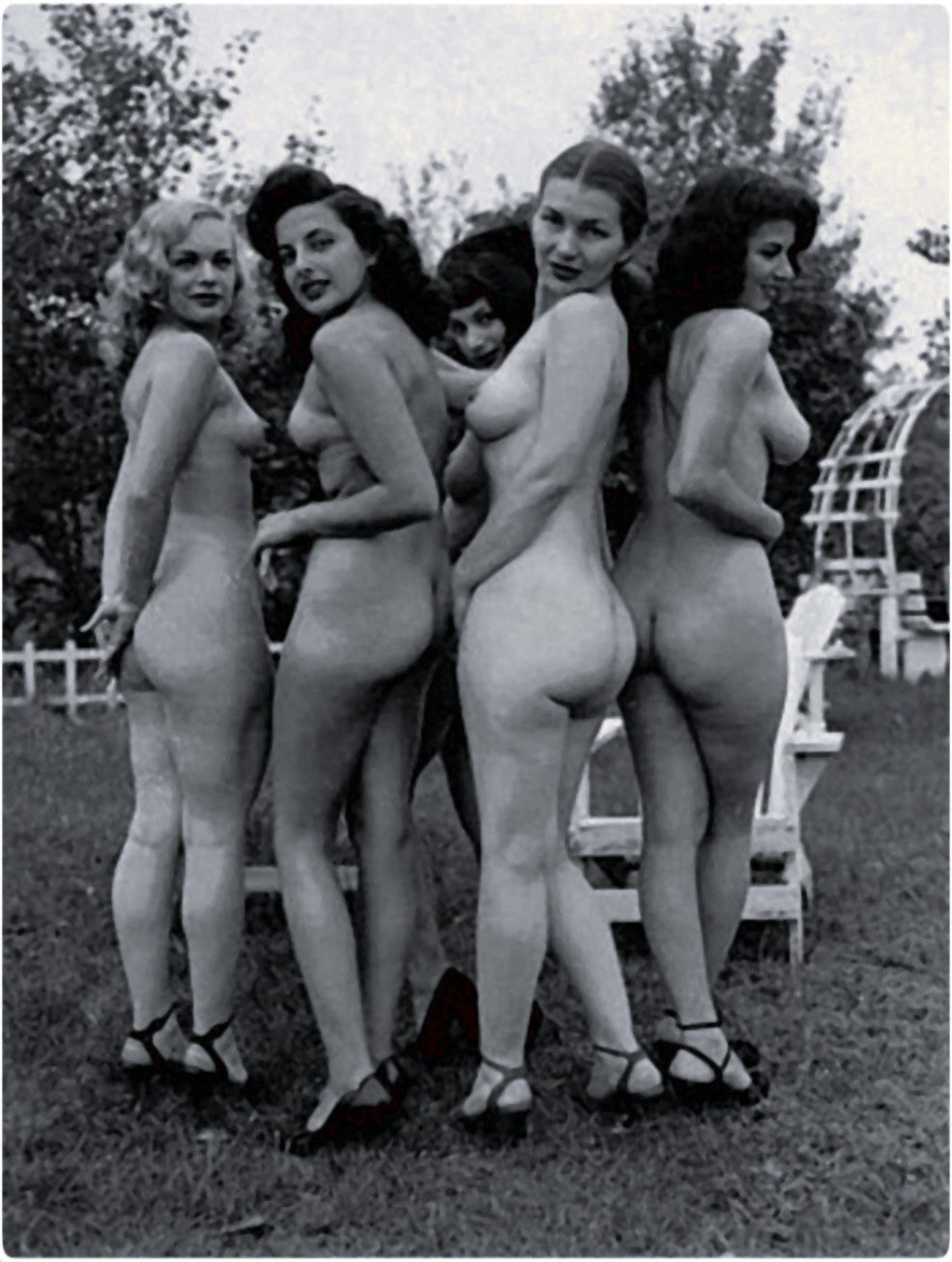 Femmes nues en bas rétro
