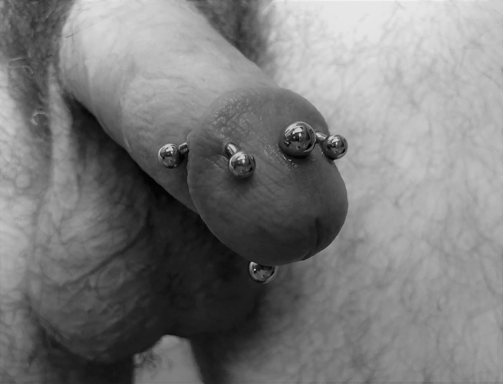 Génétaux mâles perçants