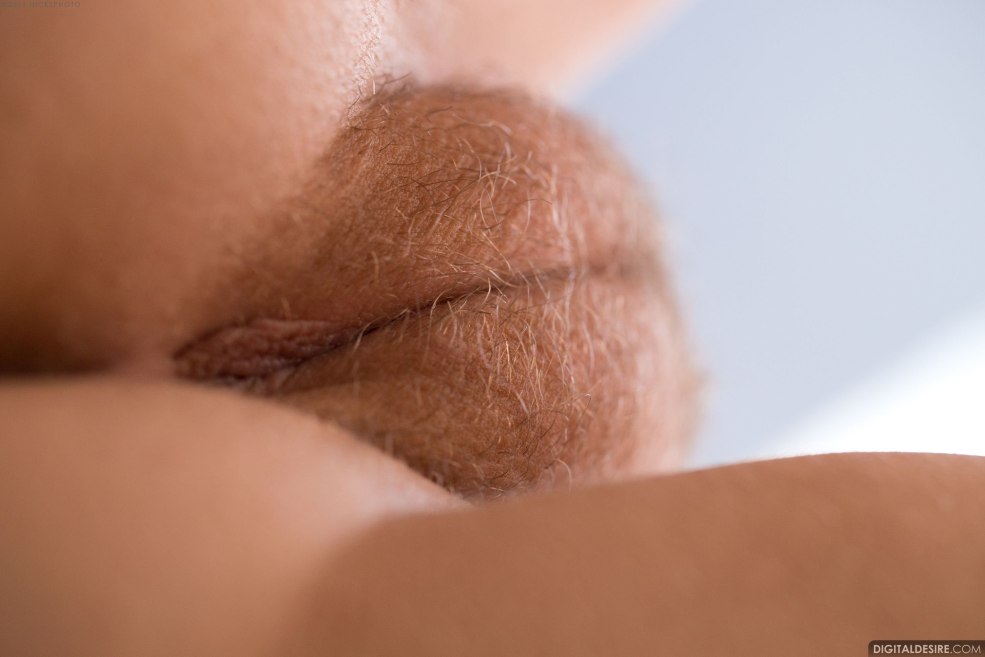 Belle chatte aux cheveux sur le pubis