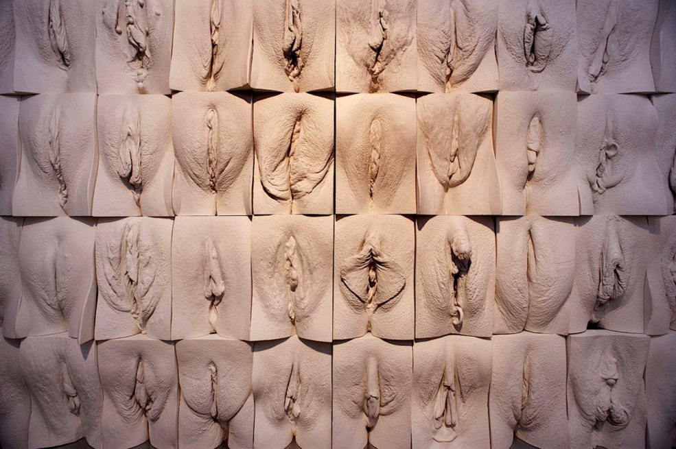 Variétés de vagin féminine