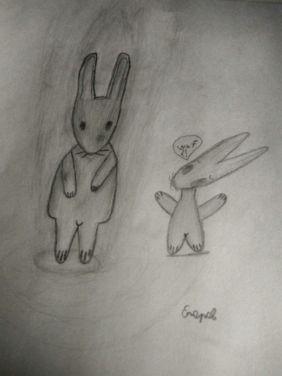 Bunny Dmitry Mordas Novella