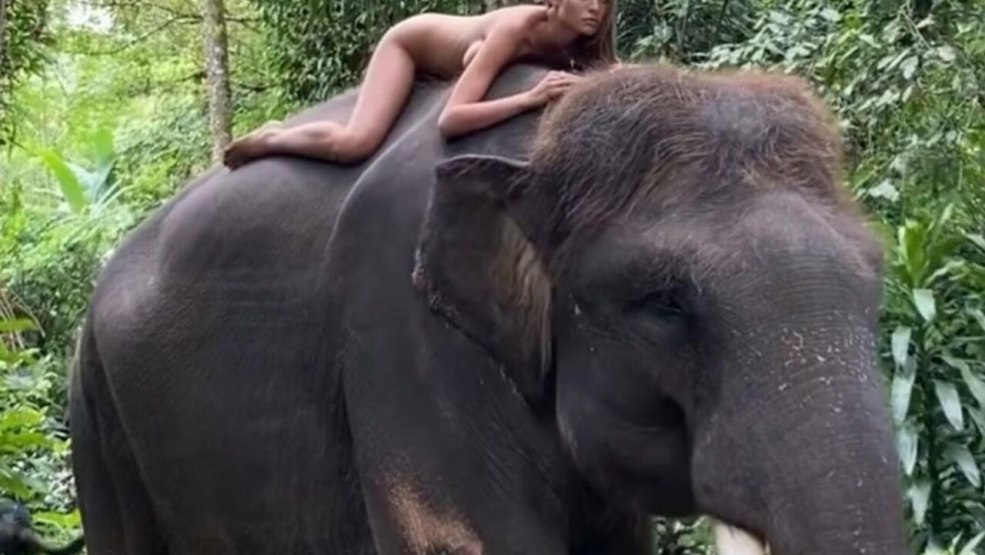 Alesya Kafelnikova nue 2020