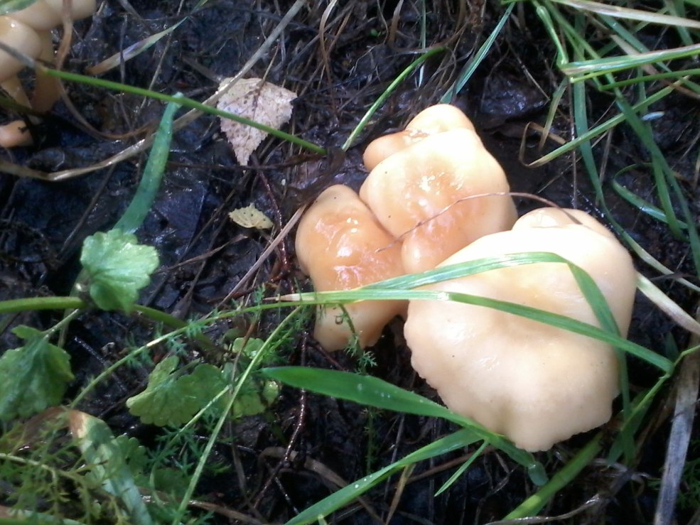 Tatyana Maslani en sous-vêtements