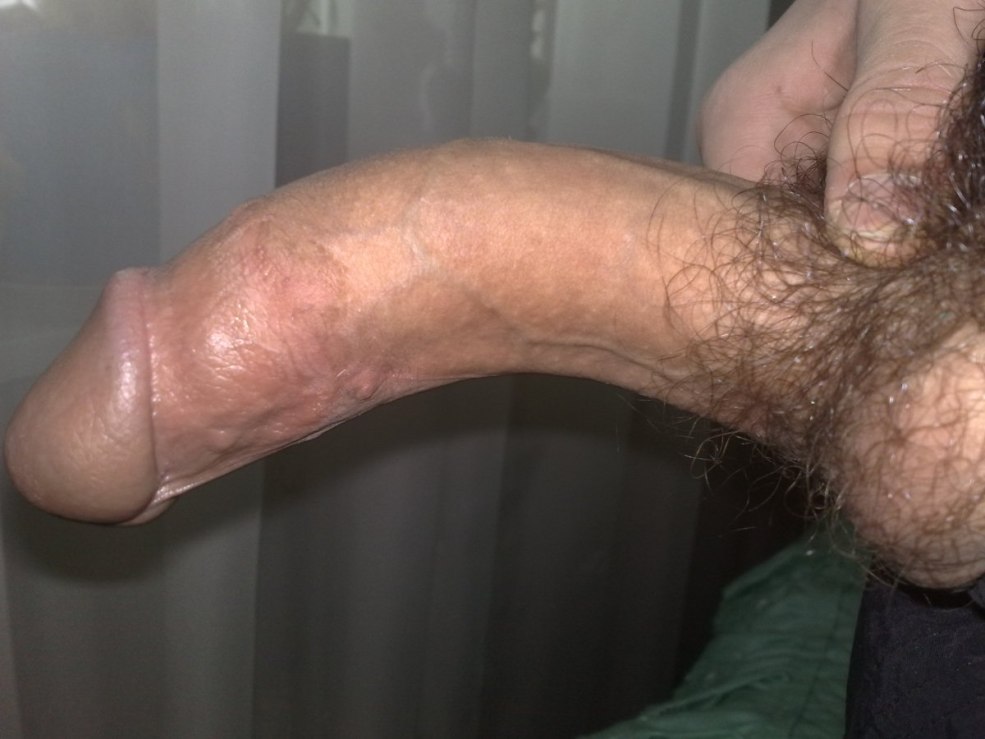 Un immense beau pénis