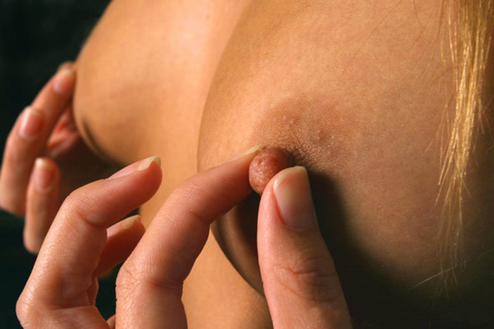 Belle femelle papille