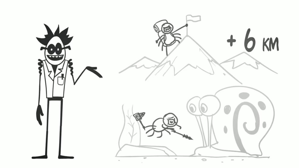 FBT LS 61A Subwoofer