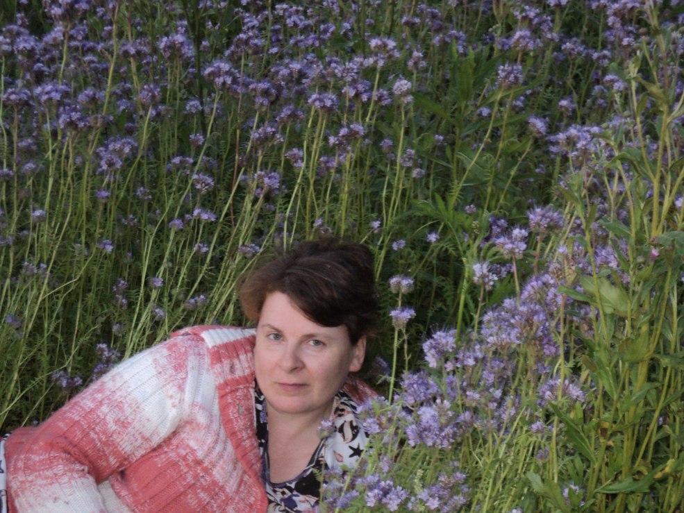 District de Dyachenkovo ​​Bogucharsky