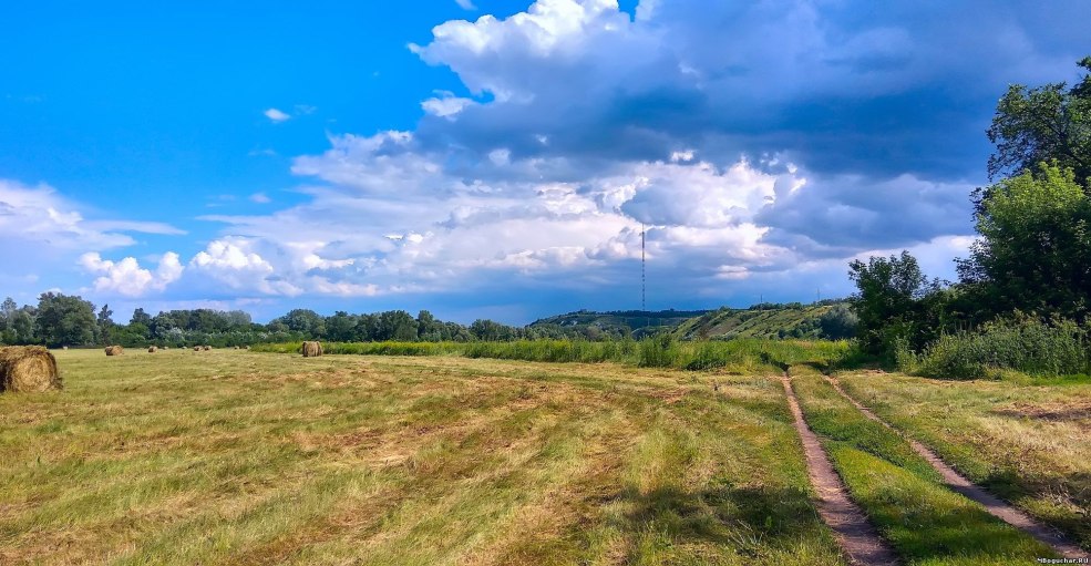 Atelier de production de café