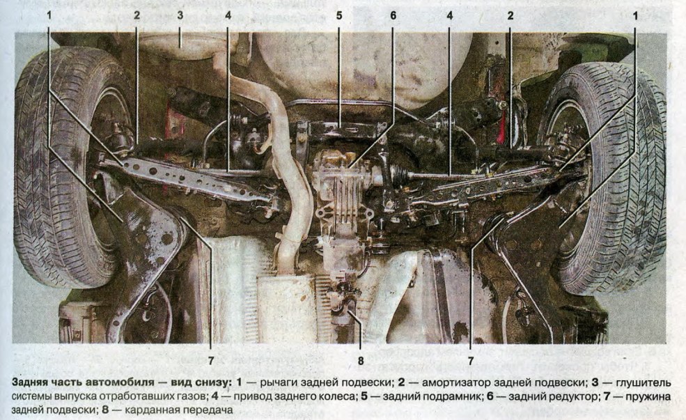 Grands seins de chips en strings