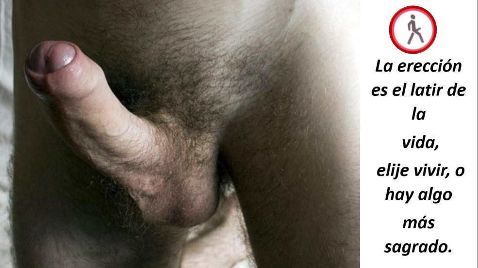 Pubis masculin poilu