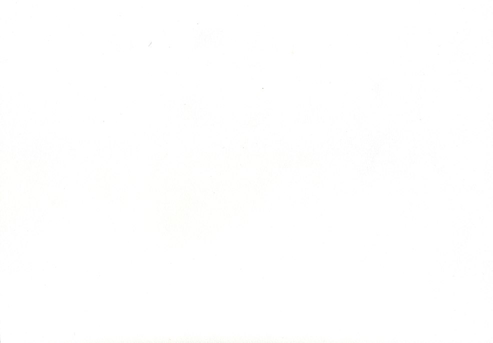 Leader PZ19JB Carburateur