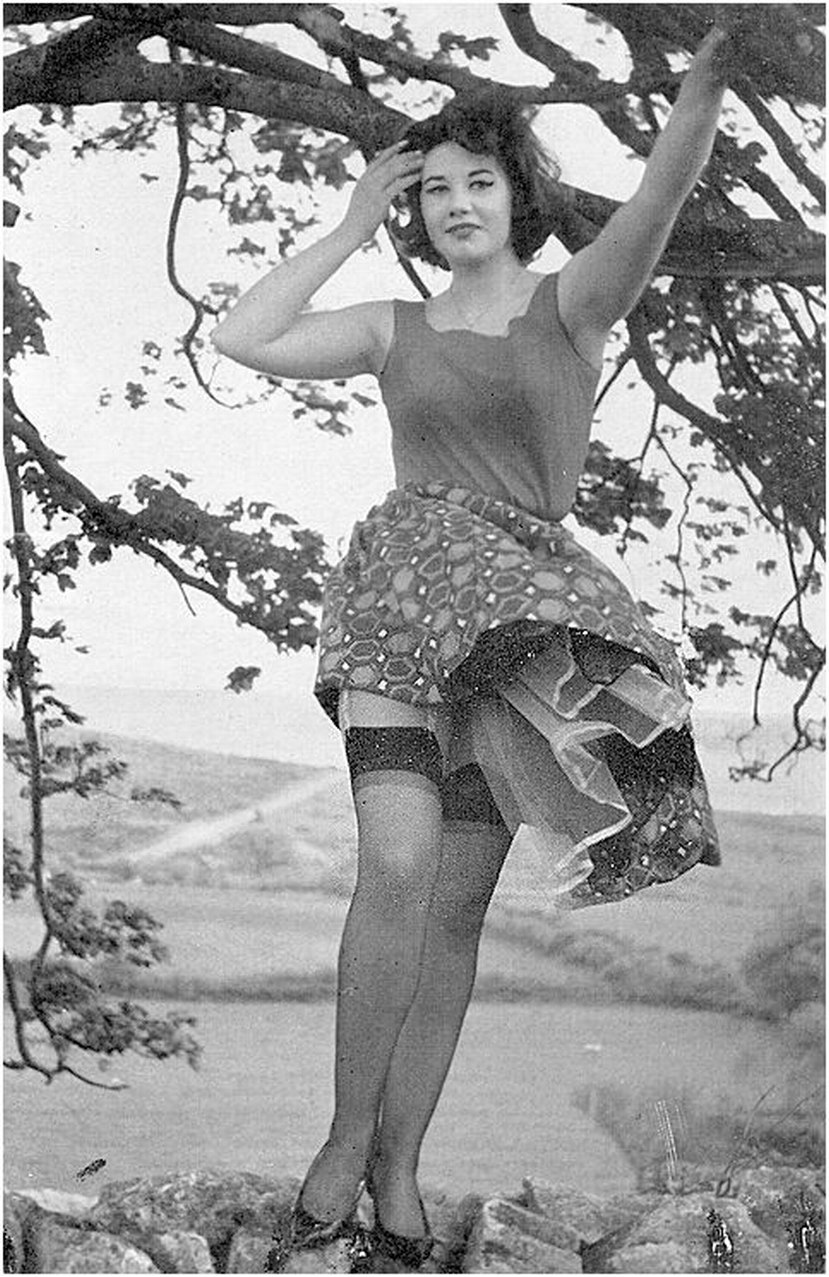 Femmes rétro poilues dans la nature