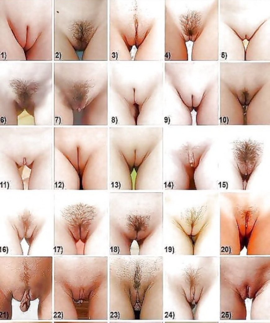 Chatte de femmes différentes