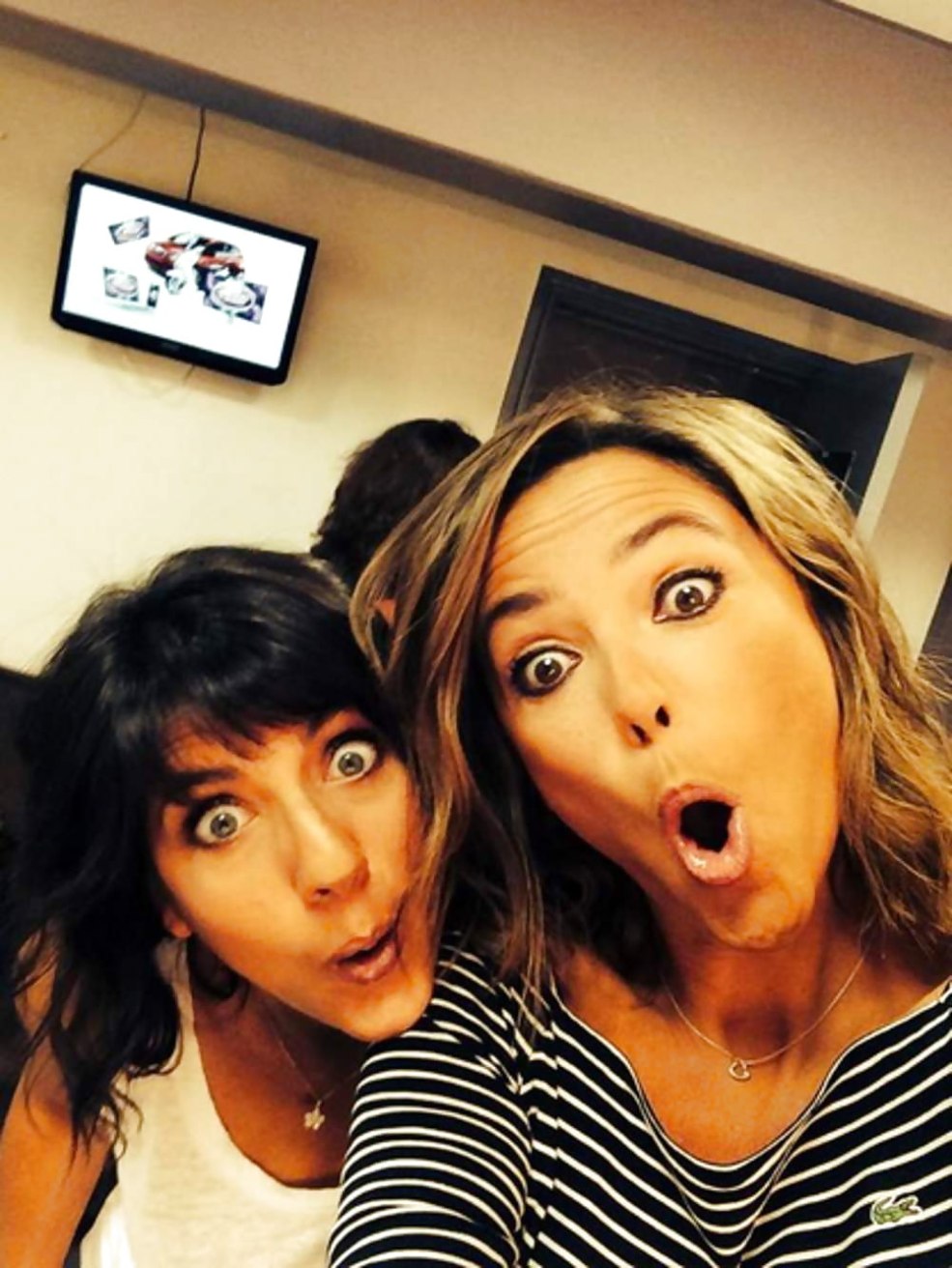 Daniela Stoyanovich Michen