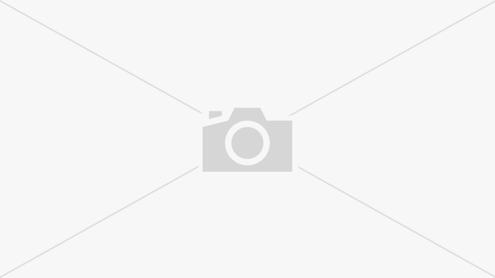 Naisance des lys des piles, 2007