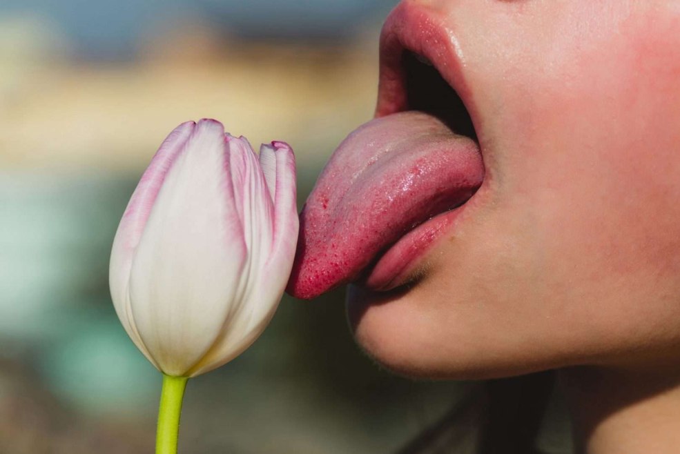 Tulip sous la forme d'un membre