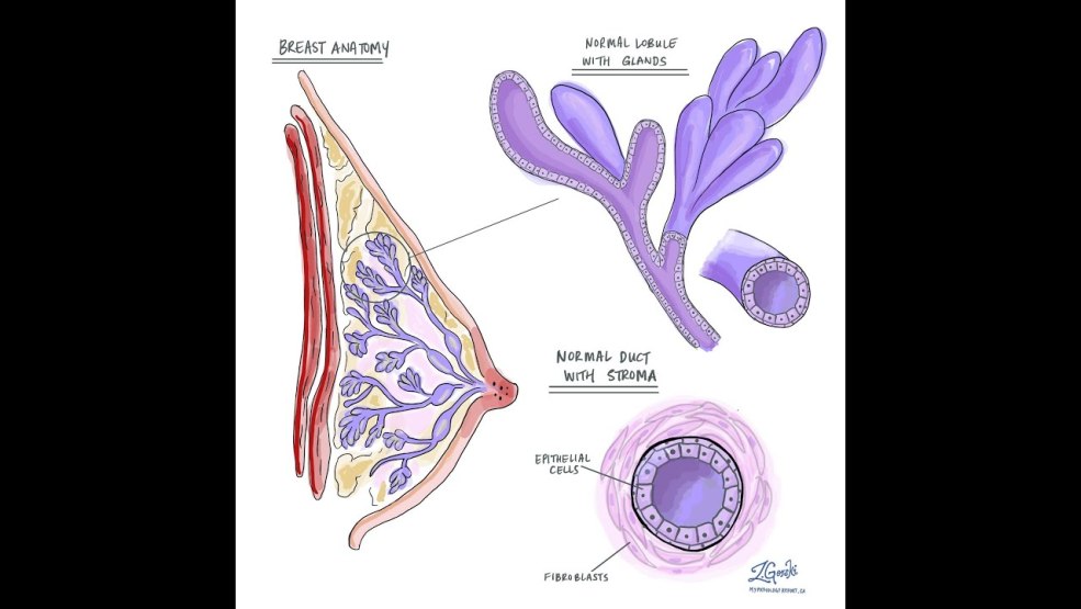 L'actrice Marina Denisova en maillot de bain