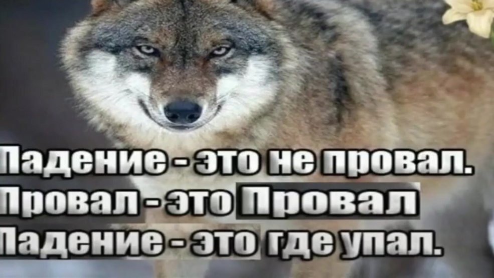 L'épouse d'un député d'Omsk