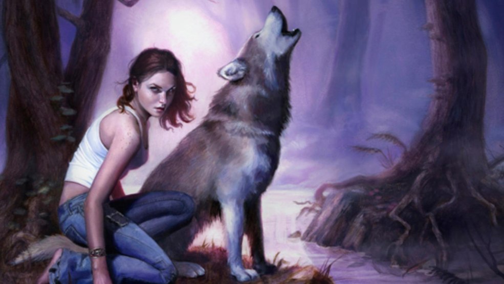 Livre de la formule de la beauté et de la jeunesse Buynamavito