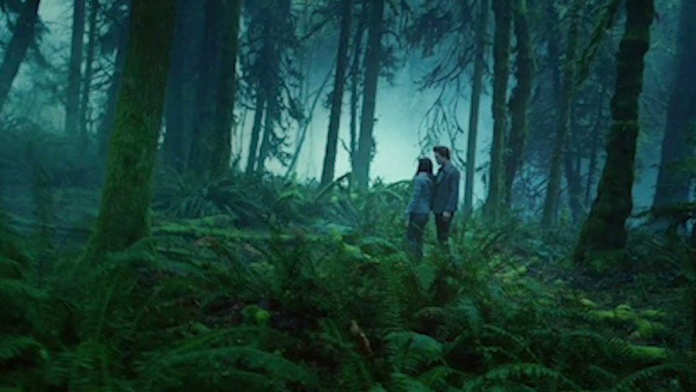 École Twilight 1 partie