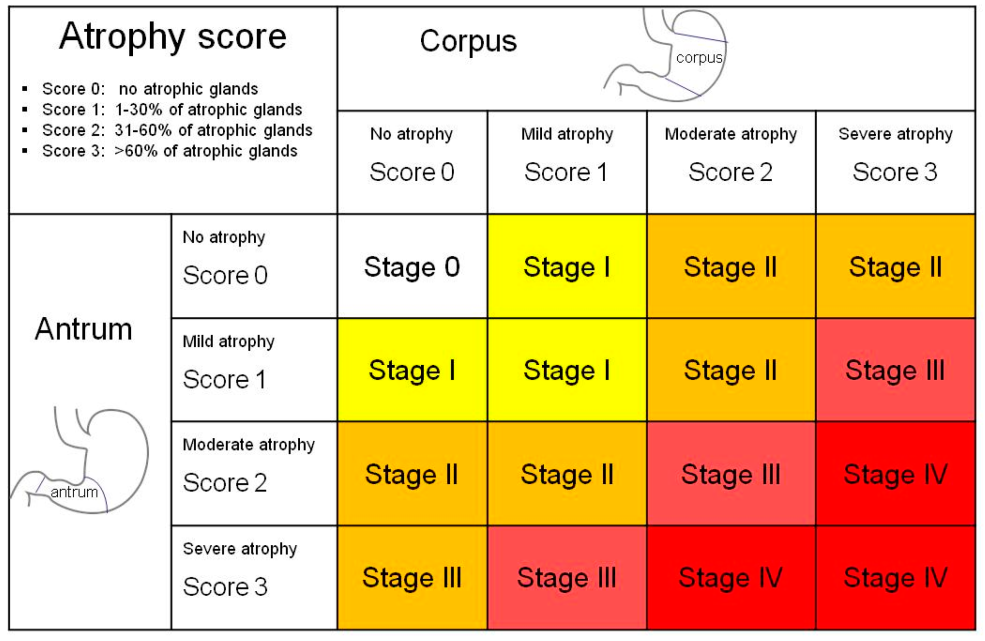 L'espace tropic-avatorial est la paléogéographie