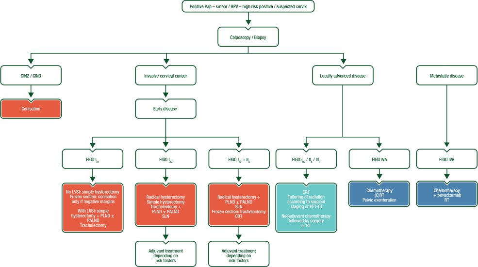 Polypes hyperplasiques du résultat du côlon