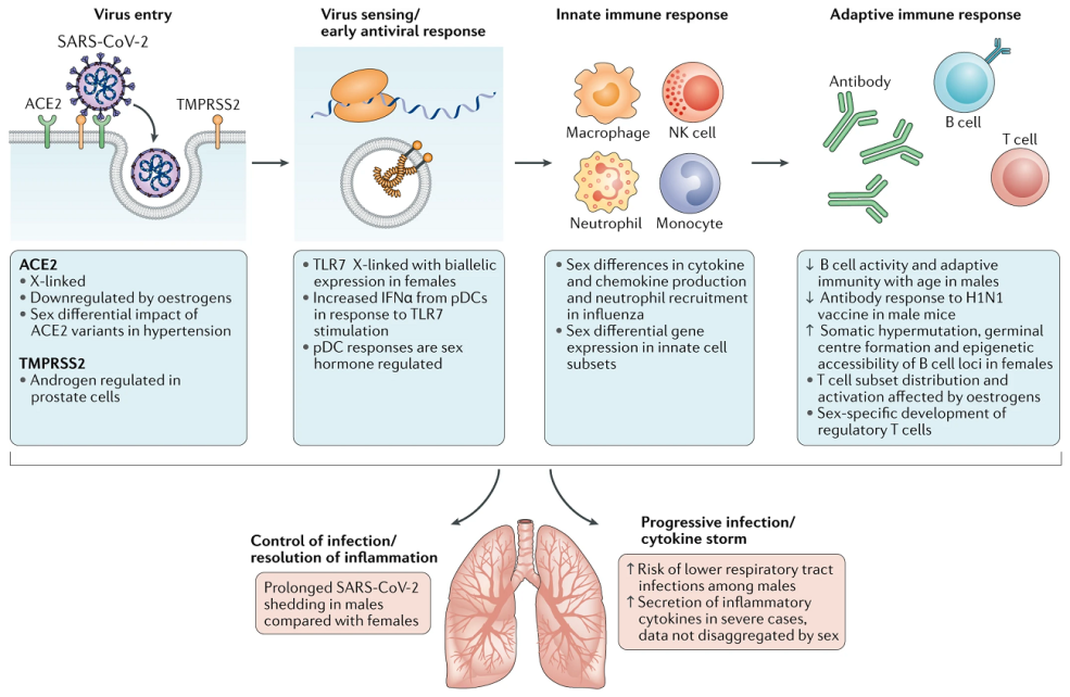 Immunothérapie PDL1