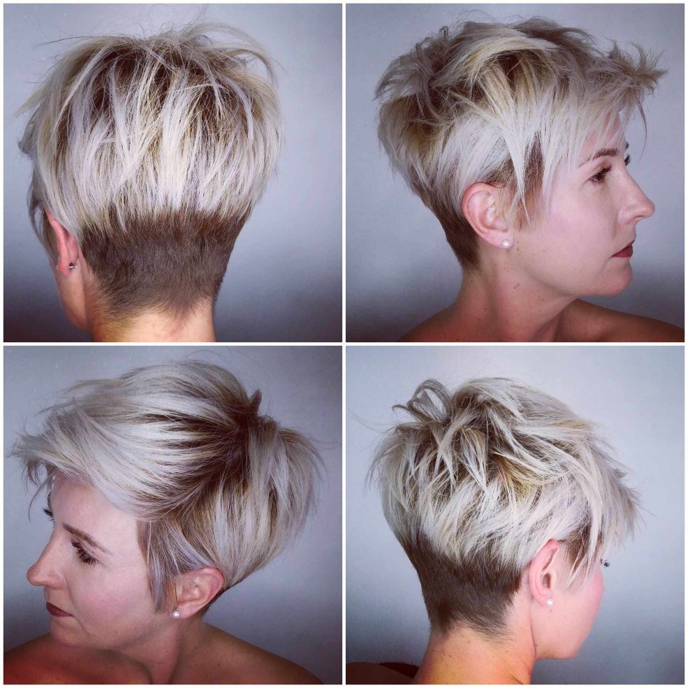 Pixie Bob Blond court