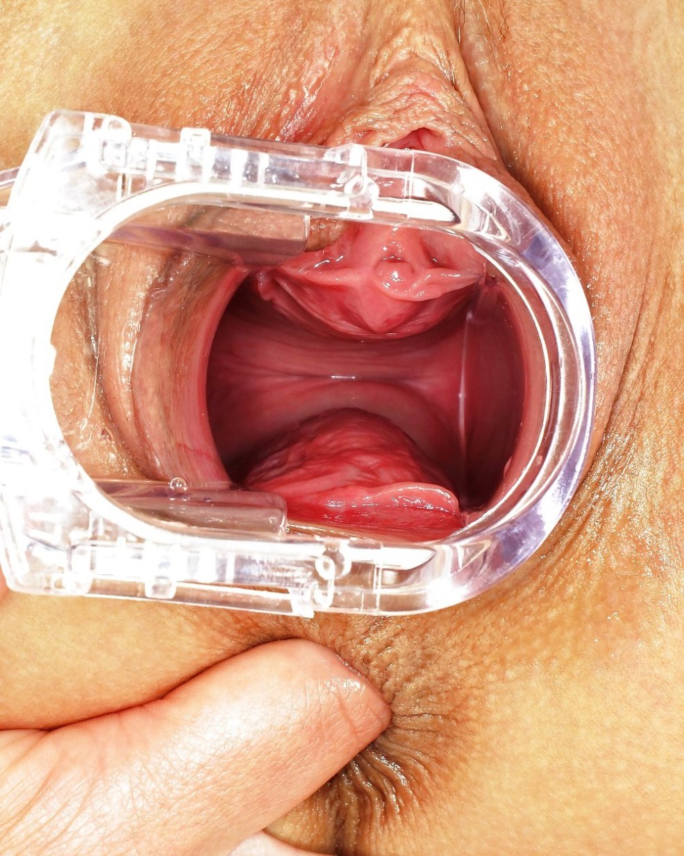 Holly Halston xxx anal